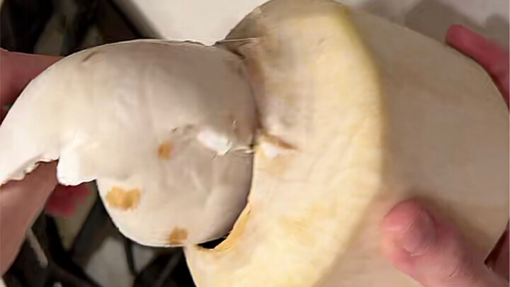 Is this how you open a coconut?!! So stress-relieving!