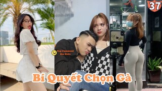 Bí quyết chọn gà - Top Comment Hài Hước Nhất Tik Tok #37