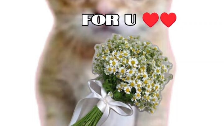 for u