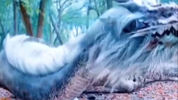 Legend of Heaven and Earth: Dragon God’s Quest for a Wife (3)