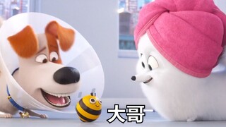 [Dubbing] The Elder Brother's Ordeal (Bee Edition)