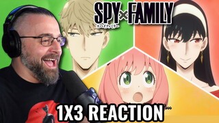 SPYxFAMILY 1X3 REACTION ''Prepare for the interview''