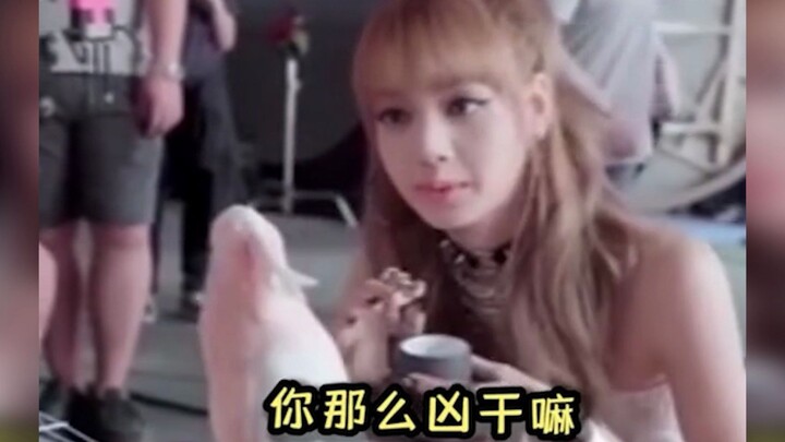 Lisa's confused behavior after encountering a little animal! Lisa