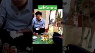 แม่ให้มาตาม
