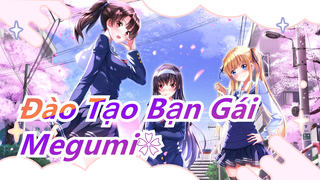 [Đào Tạo Bạn Gái MAD] Megumi❀