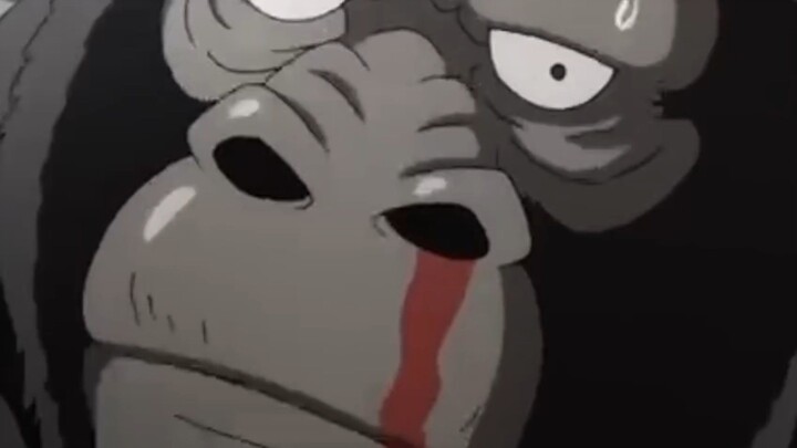 one punch man kingkong terluka