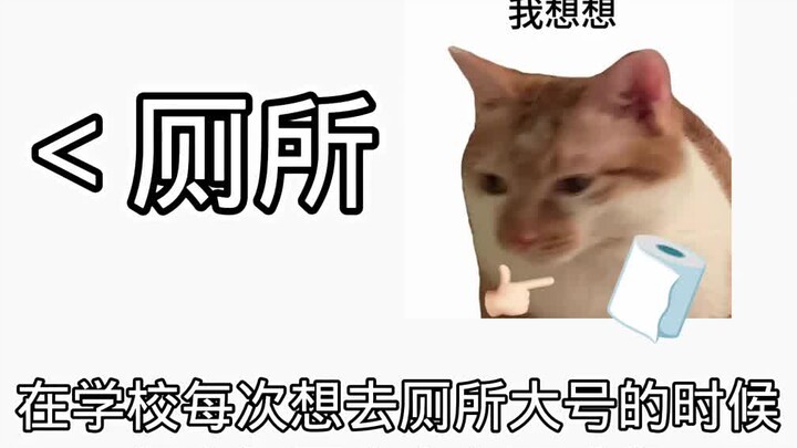 【小C祖】更新啦，赶紧来围观吧！