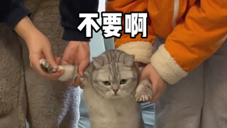 Ketika saya memakan telur kucing di depannya...