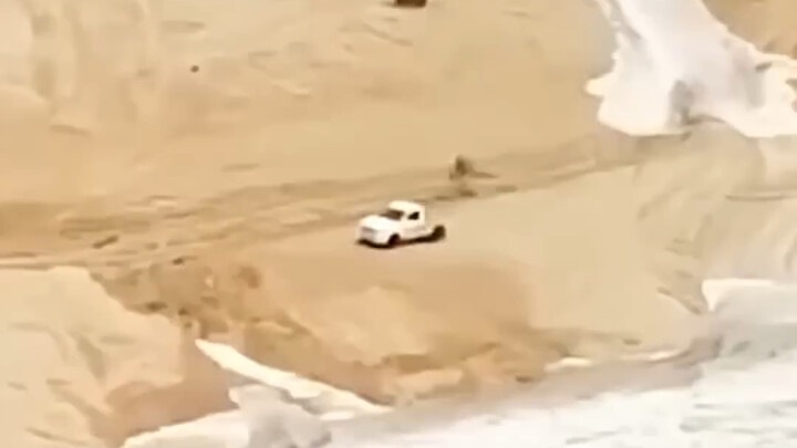 Sopir yang sangat berani dan cerdas