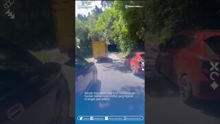 Video Viral Jalan Macet Gegara Truk Tronton Terjebak di Letter S Kolaka Utara Sulawesi Tenggara