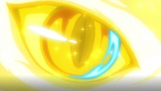 [One piece]One's dream will never end