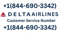 15 Ways To Access Delta Airlines Customer Service Number By Phone, Chat And Email: A Complete Guide