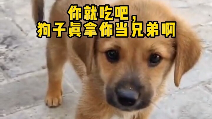 你就吃吧，狗子真拿你当兄弟啊
