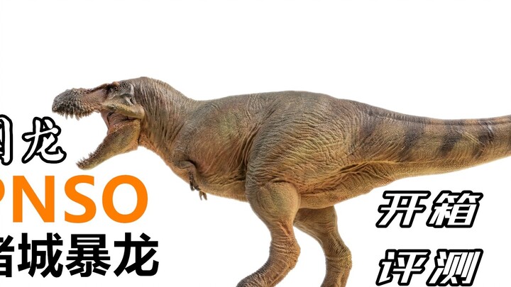 This Tyrannosaurus comes from Shandong! PNSO [Zhucheng Tyrannosaurus] model unboxing review!