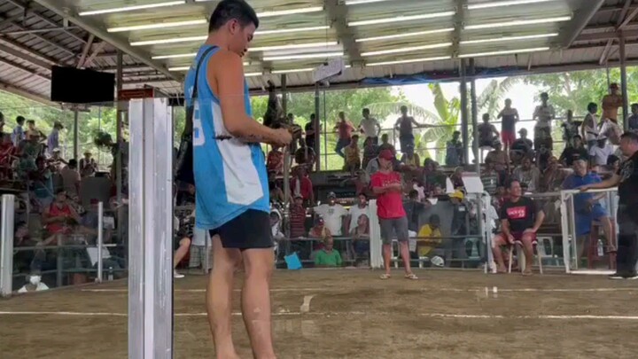 Binabae lose