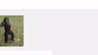 Is it normal to have such chat records between brothers and sisters?