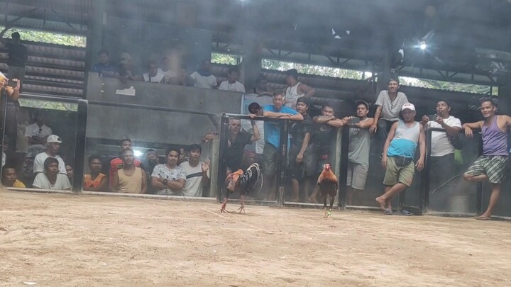 Old Line Bruce Barnett Sweater x JBK