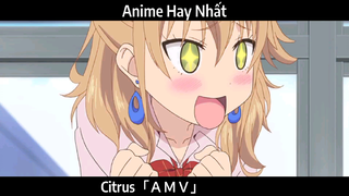 Citrus「ＡＭＶ」Hay Nhất