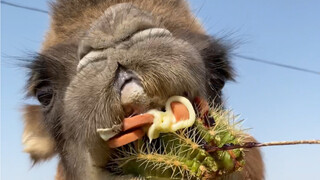 Jika bukan karena ada orang di depannya, ia bisa membuat Max berlari ke seluruh dunia.