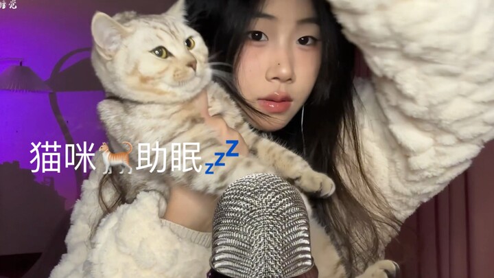 【เสียงปลอบประโลมหลับ】เสียงกระตุ้นจากแมว