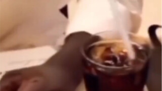 I'm sorry, I really didn't mean to.