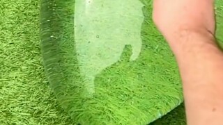 The disciple Qingyun traveled through the prehistoric times, and I, who had no system, was brought i