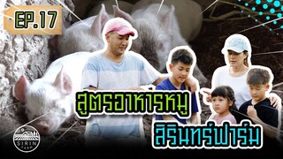 สูตรอาหารหมูคู่สิรินทร์ฟาร์ม Sirin Farm’s Amazing Pig Feed [ SIRINFARM CHANNEL ] EP.17