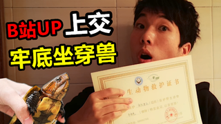 B站up主上交了只跟熊猫同等级的保护动物，据说养一只牢底坐穿！