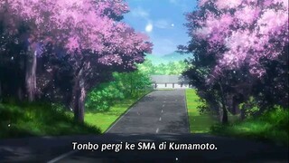 Ooi! Tonbo 2nd Season Episode (13) Sub Indo