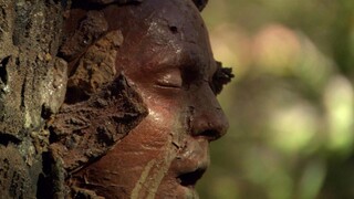 【科幻Fans】男子穿越一亿年前，不料身体穿越进石头里，这下倒了霉！《史前一亿年》