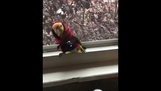 จำไว้เลย!! คนจริง โอวัลตินต้องละลาย