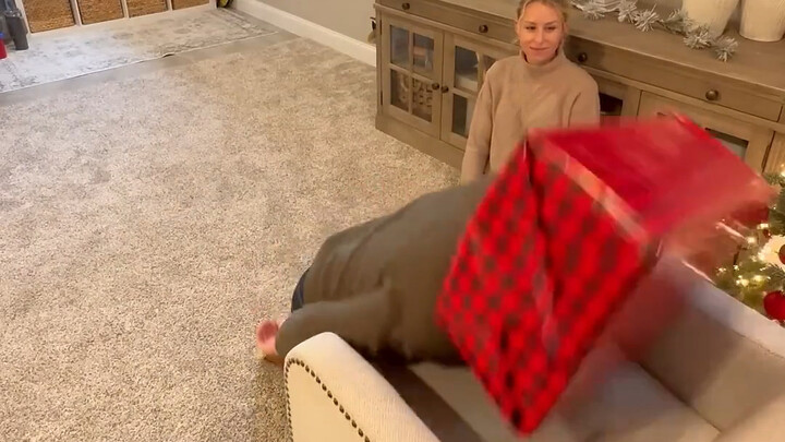 How various animals look when they receive gifts!