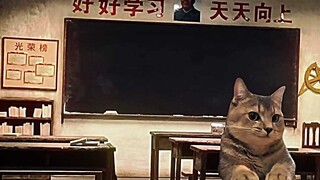 Dedak kualitas terbaik yang saya makan saat masih kecil