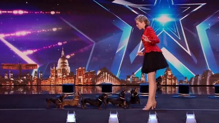 DANCING DOGS! Britain's Got Talent
