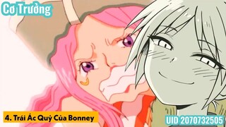 Top 10 Trái Ác Quỷ Mang Khả Năng Bất Lão Trong One Piece part 2 #Anime #Schooltime
