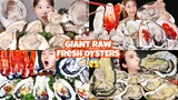 MUKBANG Giant raw oysters 🦪