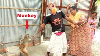 Funniest Haryanvi Bandar Bandriya Ka Khel เล่นตลก วิดีโอตลกวิดีโอตลกจากกล้องของฉัน
