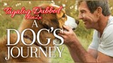 A Dog's Journey (2019) Tagalog Dubbed l Adventure l Comedy l Drama  (RJC ENCODED)
