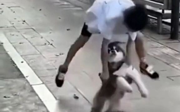 Berbagi kesulitan dengan anjing