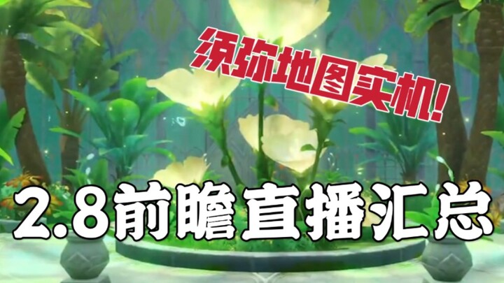 【Yellow Dog Man】Something big is coming!!!