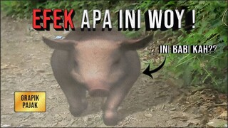 TES KESEHATAN MATA KALIAN DENGAN MENONTON VIDEO INI !