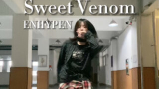 ENHYPEN- Sweet Venom｜请问不穿紧身裤和白袜子犯法吗☝🏻