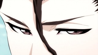 Aizen vs Gotei 13 (Everyone) Full Fight English Dub