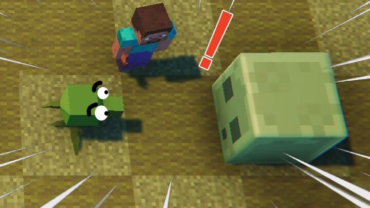 Hạt Đậu Bắn Súng: Một đống bảo vệ luận văn ư?