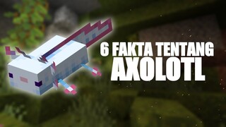 6 Fakta menarik AXOLOTL yang harus kalian ketahui di versi terbaru MCPE 1.17 !