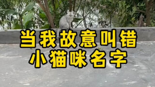 Jangan makan hot pot di depan anak kucing, dan jangan makan hot pot di belakang anak kucing.