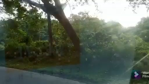 Kaptai Road