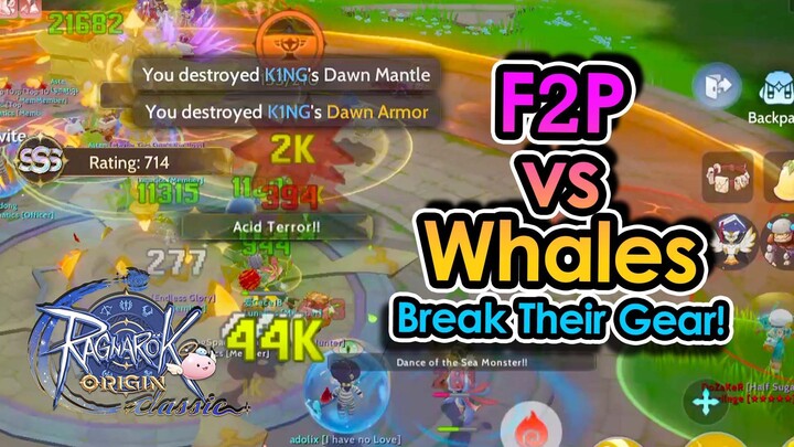 [ROOC] How to BEAT WHALES as a F2P Biochemist! Armor Destroyer Acid Terror PVP Build  | King Spade