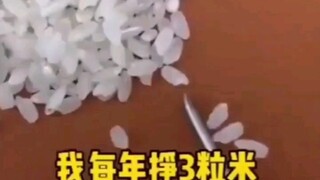 进来看看你 挣一粒米 要多久时间！