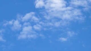 Full List of ®️American Airlines CUSTOMER® Contact Numbers in the USA: Complete-Guide